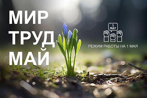 С праздником Весны и Труда! Режим работы на 1 мая